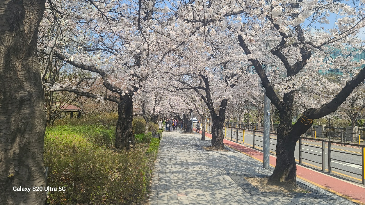 2026 사유원 매화축제 예약방법 총정리