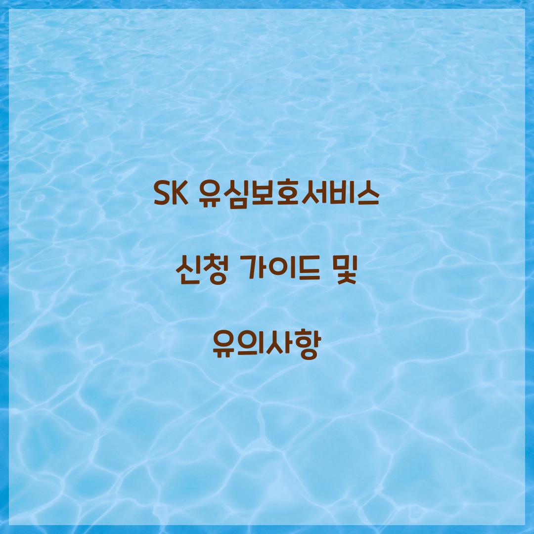 sk 유심보호서비스