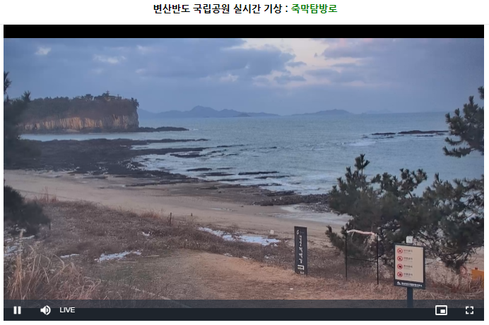 태백산 실시간 CCTV