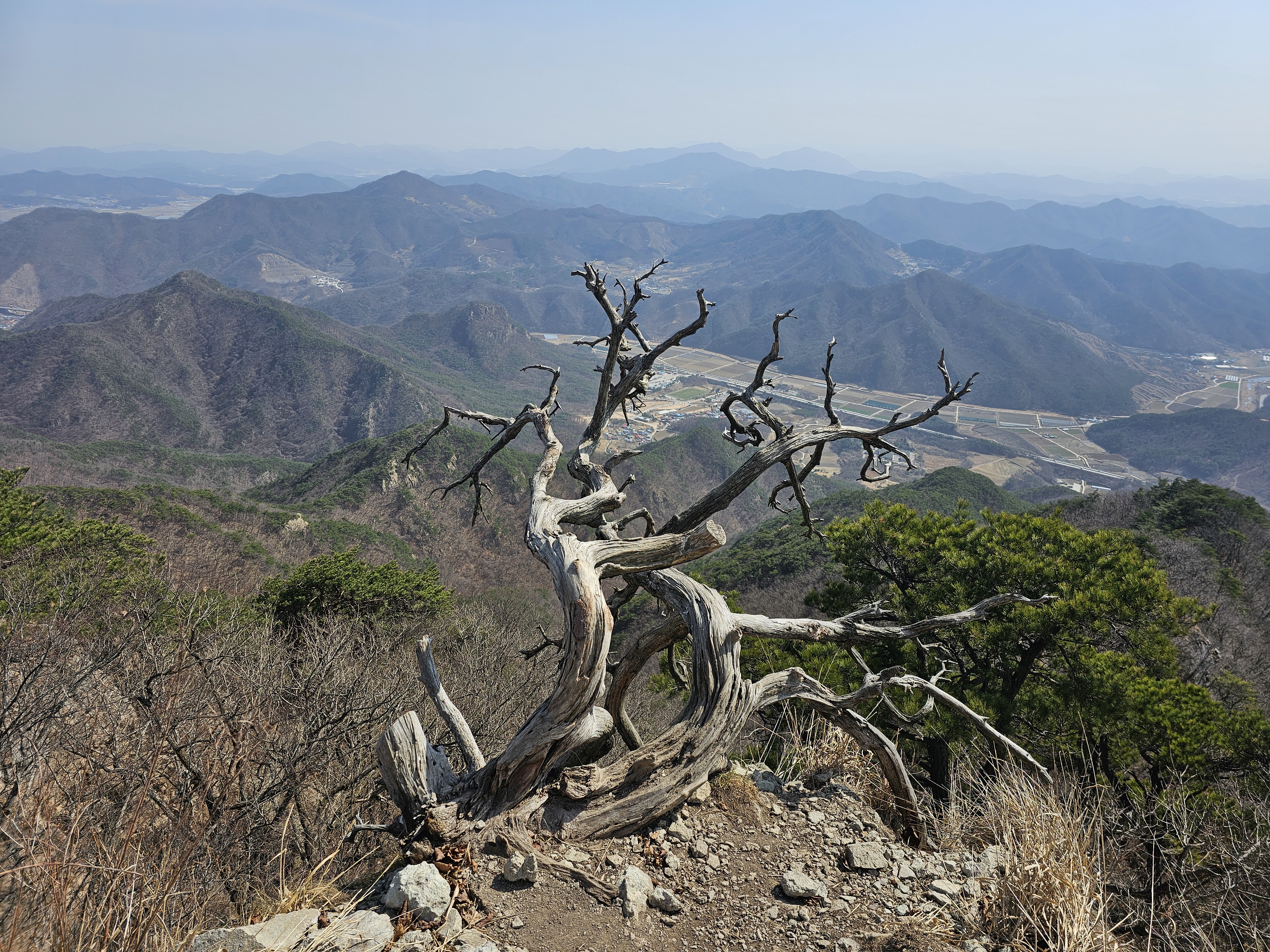 충북 구병산 정상 사진