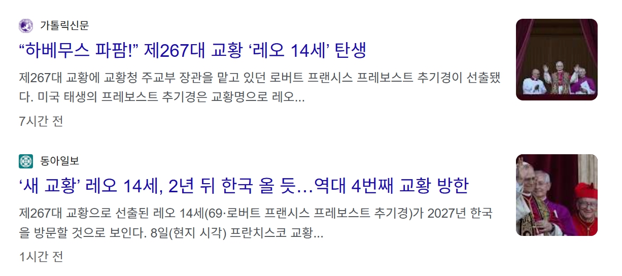 레오 14세 교황