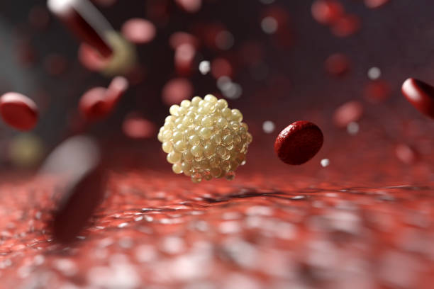 고지혈증에 좋은 음식 10가지