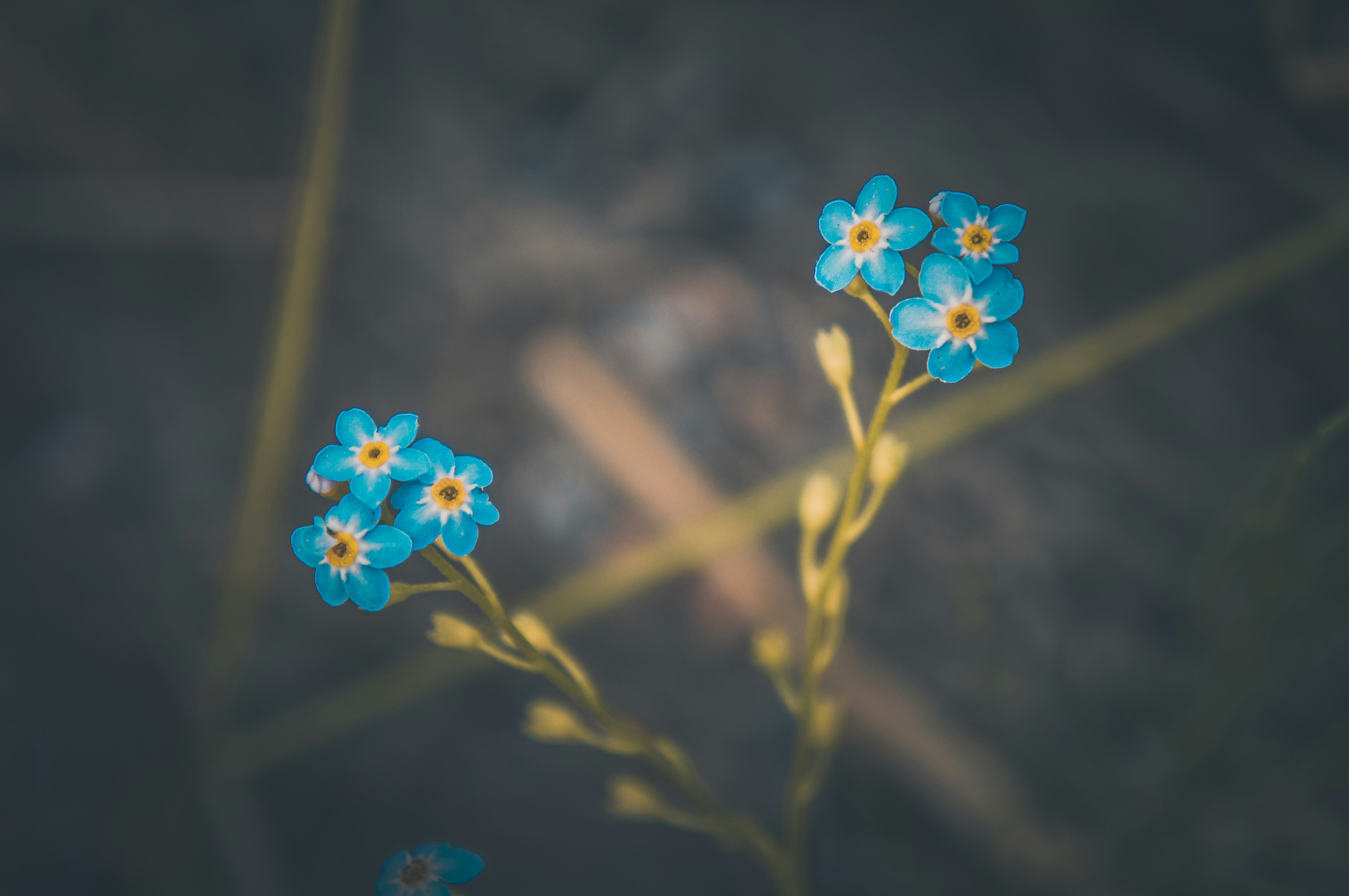 치매 초기증상이 왔을때 대처법