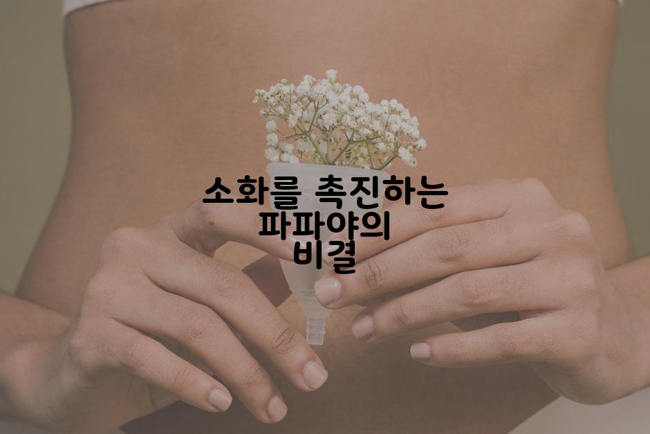 소화를 촉진하는 파파야의 비결