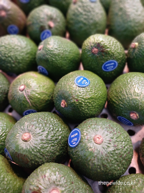 Close-up view of fresh avocados with labels at a market, rich in healthy fats beneficial for cholesterol.-시장에 진열된 신선한 아보카도 – 고지혈증에 좋은 건강한 지방이 풍부한 과일