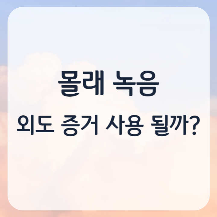 몰래 녹음 외도 증거