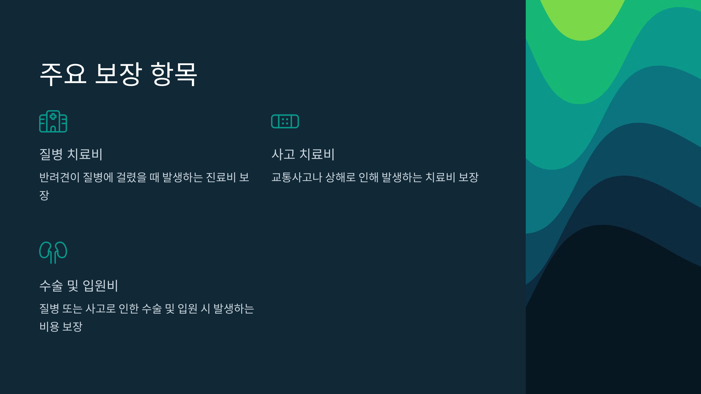 강아지 보험 가입 혜택 보장