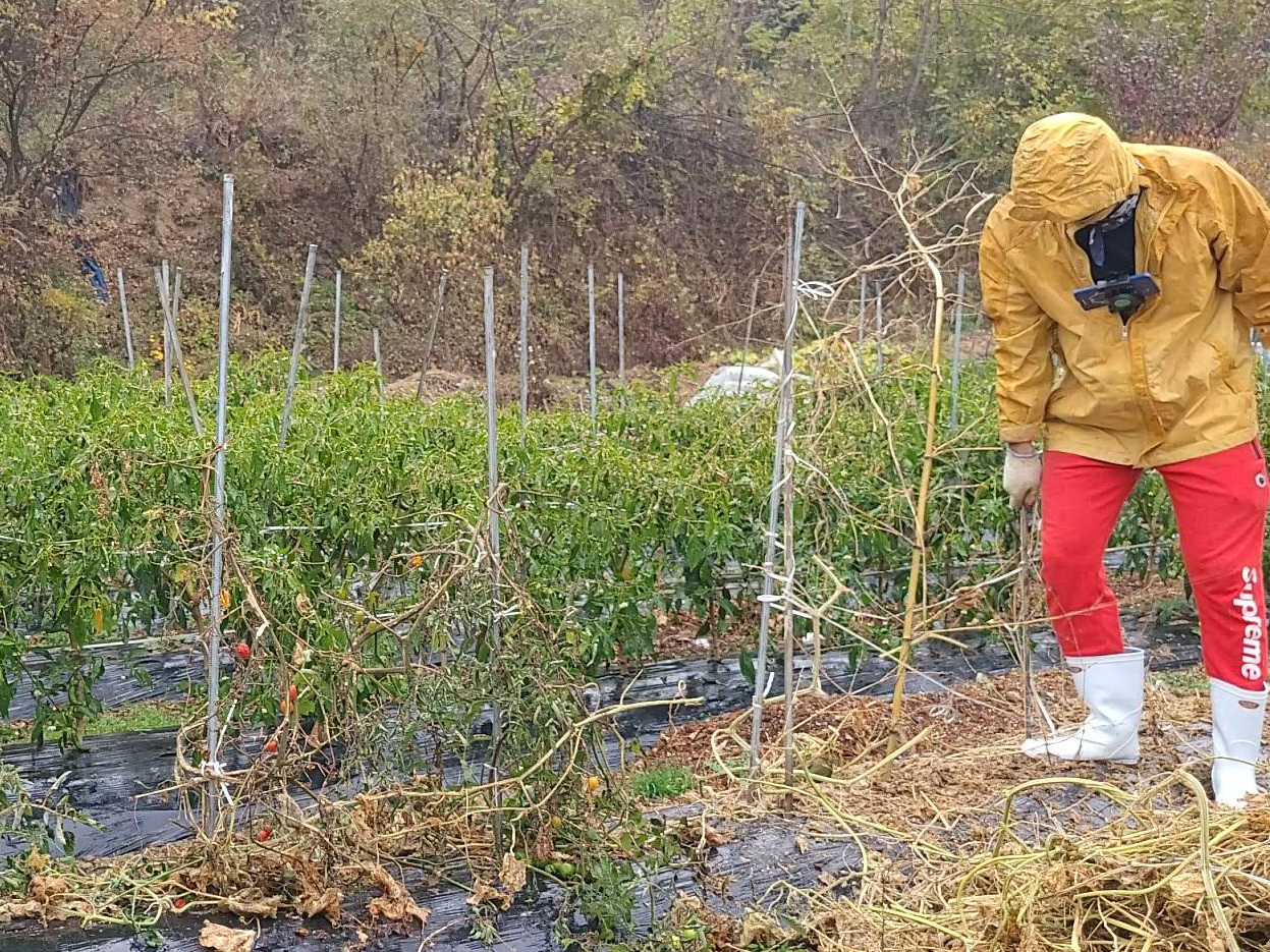 오토케 - 스마트폰 거치용 가슴 스트랩 밭일_1