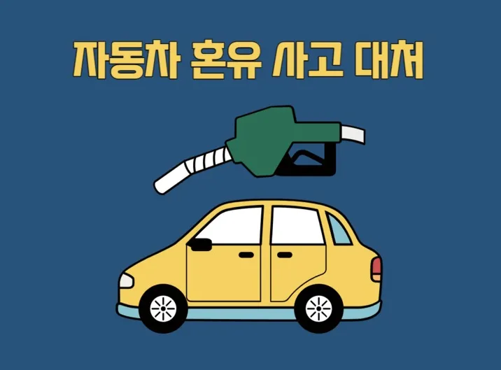 자동차 혼유 사고 대처 방법