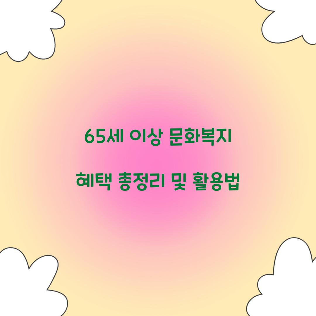 65세 이상 문화복지