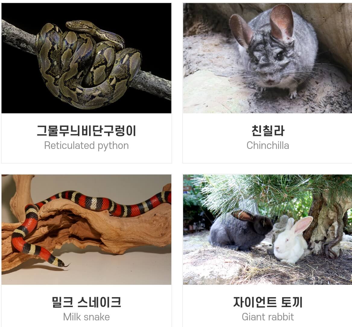 네이처파크 미라클 크리스마스 기본정보와 주차장,입장료를 알아봤습니다