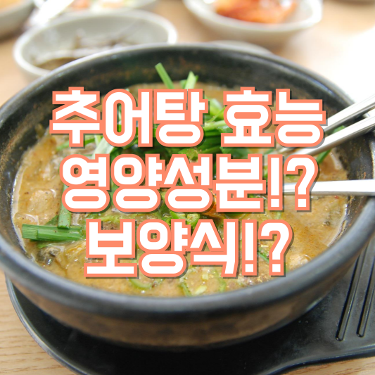 추어탕 효능, 영양성분 및 보양식으로의 괜찮을까?