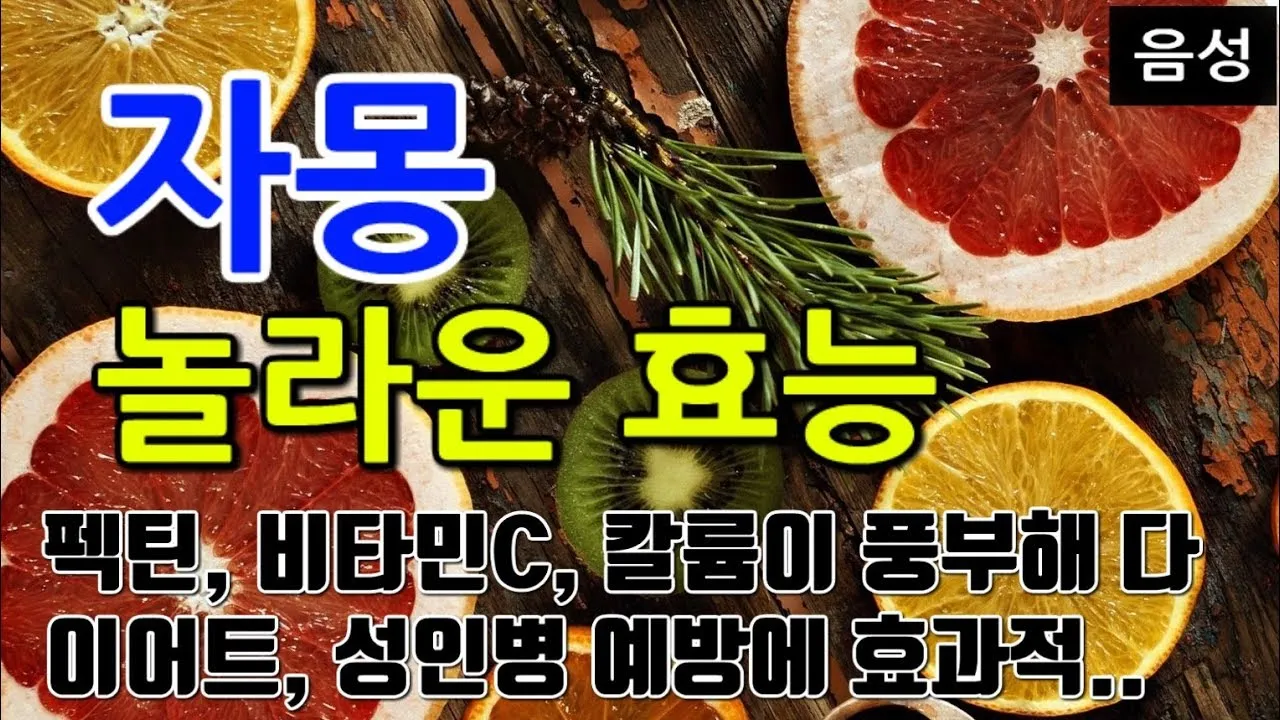 자몽 효능과 건강 효과_1