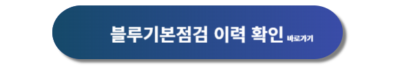 블루핸즈, 현대자동차 블루핸즈, 블루핸즈 예약, 현대자동차 블루핸즈 예약, 현대자동차 블루핸즈 서비스, 현대자동차 블루핸즈 예약방법, 블루핸즈 멤버스