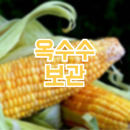 옥수수보관, 신선하게 보관하는 방법!