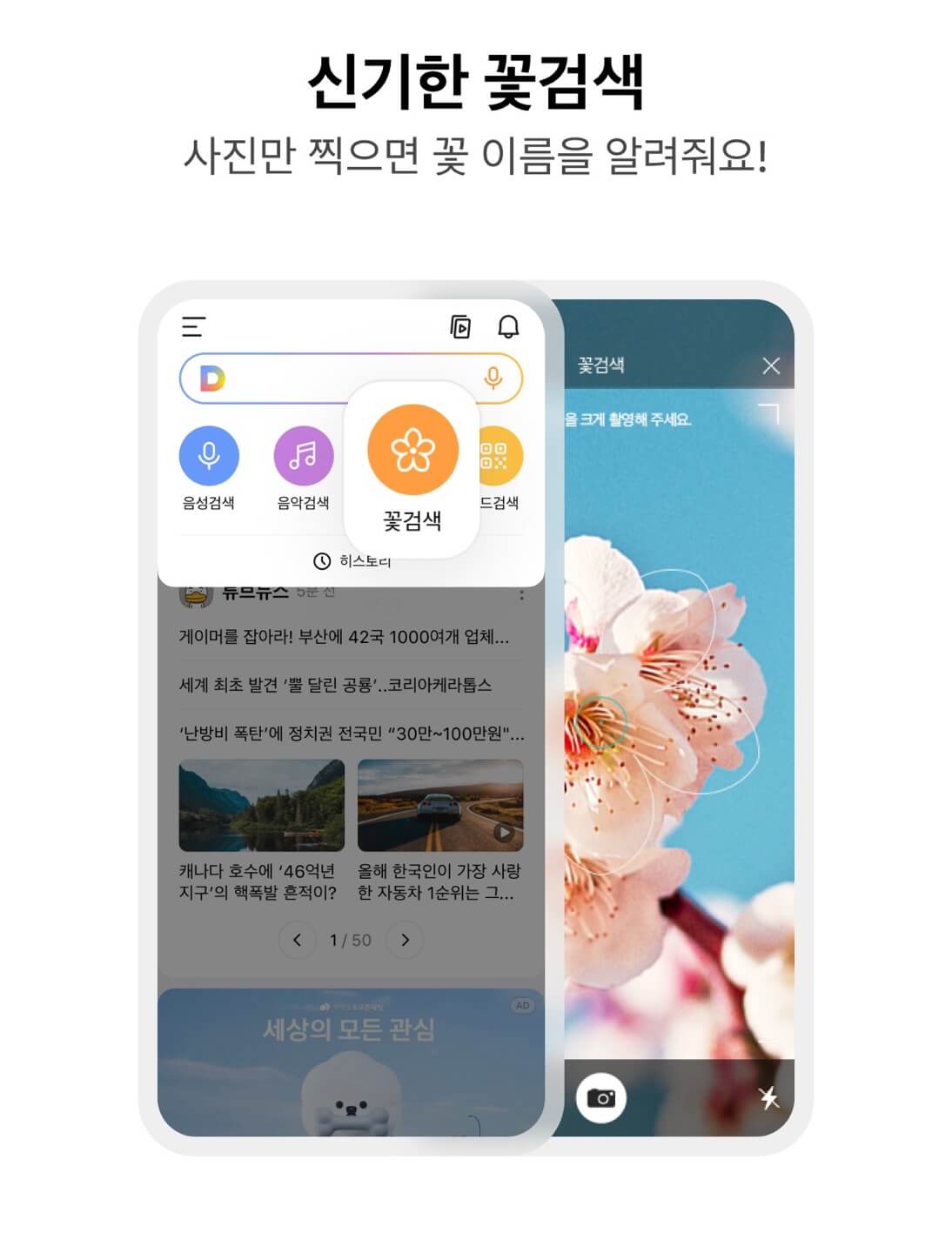 다음 꽃검색