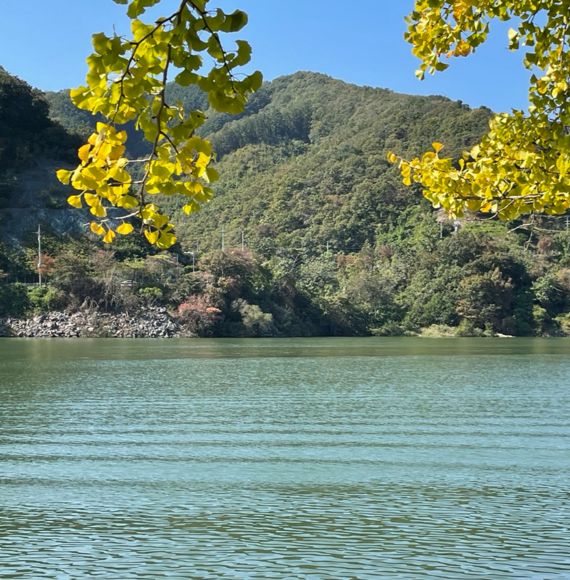 남이섬