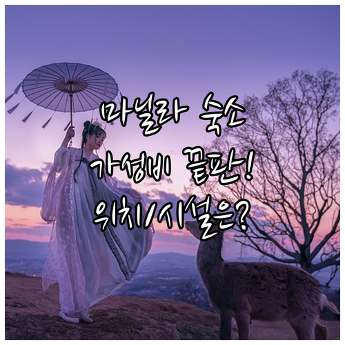 마닐라 호텔 6곳 완벽 분석 위치 시..