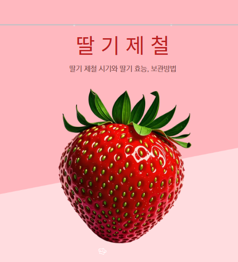 딸기 제철