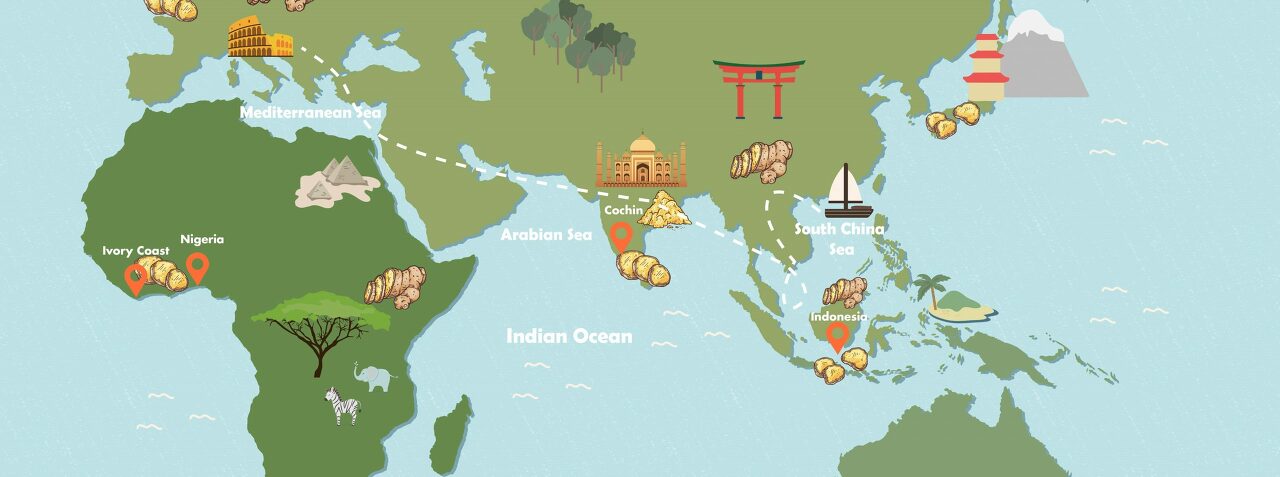 생강의 역사와 기원