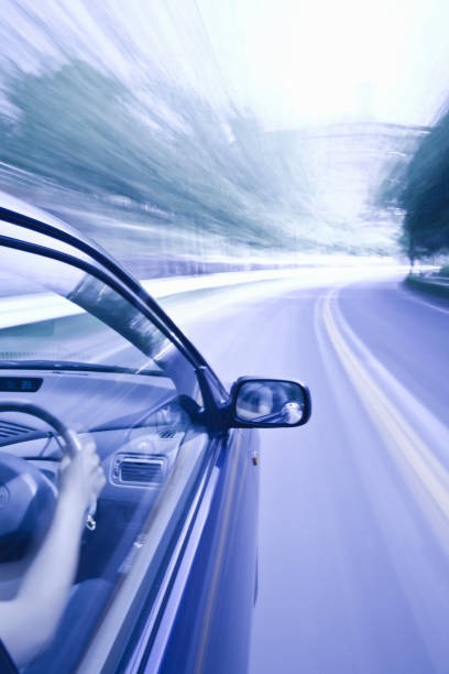 광복절-특별사면-운전면허 