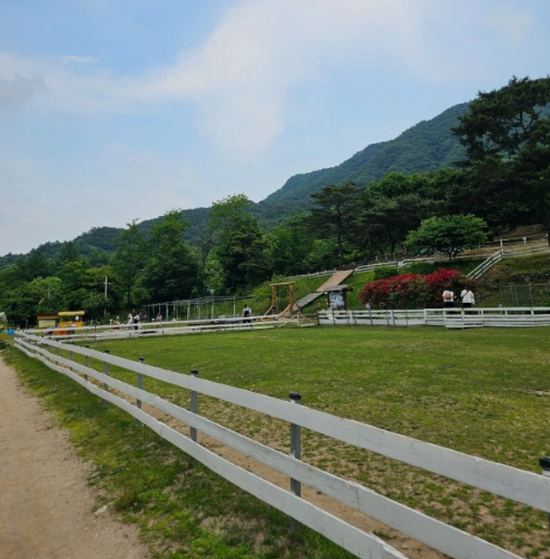 해피초원목장