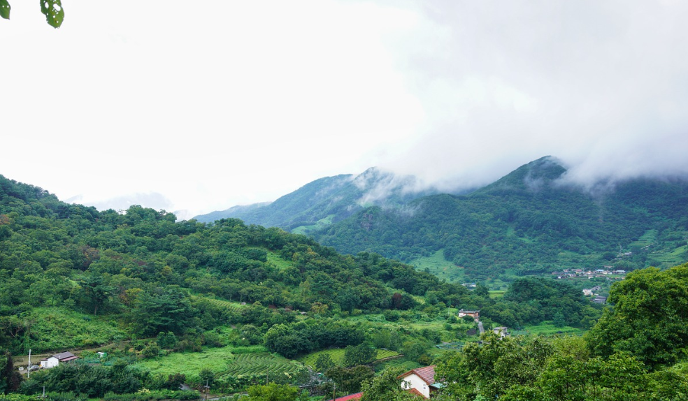 특별한 신년 맞이를 위한 겨울철 힐링 명상 가능한 곳