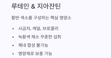 루테인