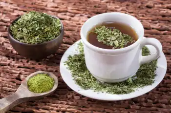 모링가 효능 및 영양성분, 주의점