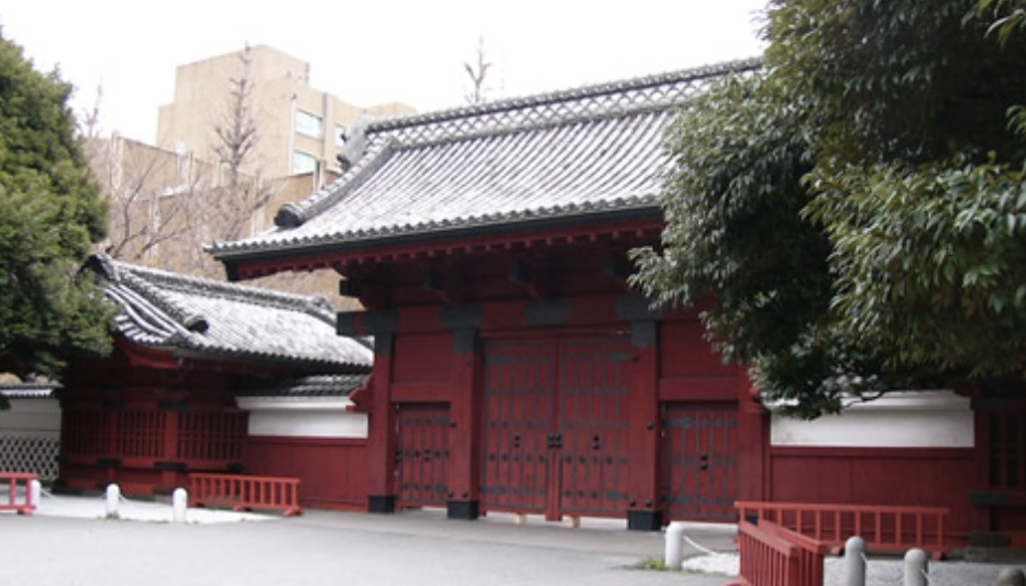 The University of Tokyo