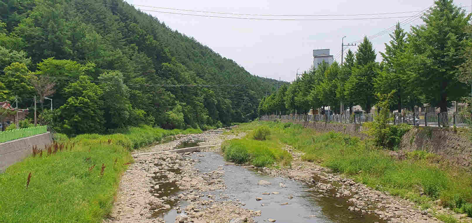 황지천 여기부터 낙동강까지 흐름