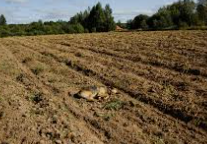 농민수당 신청 자격 및 신청 방법