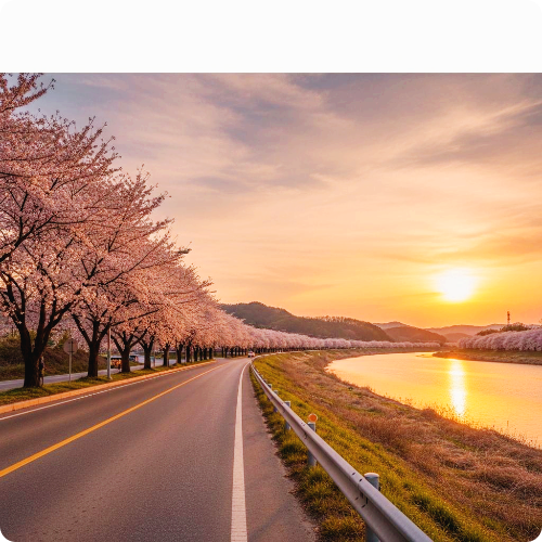 경기도 벚꽃 주차 가능한 한적한 명소