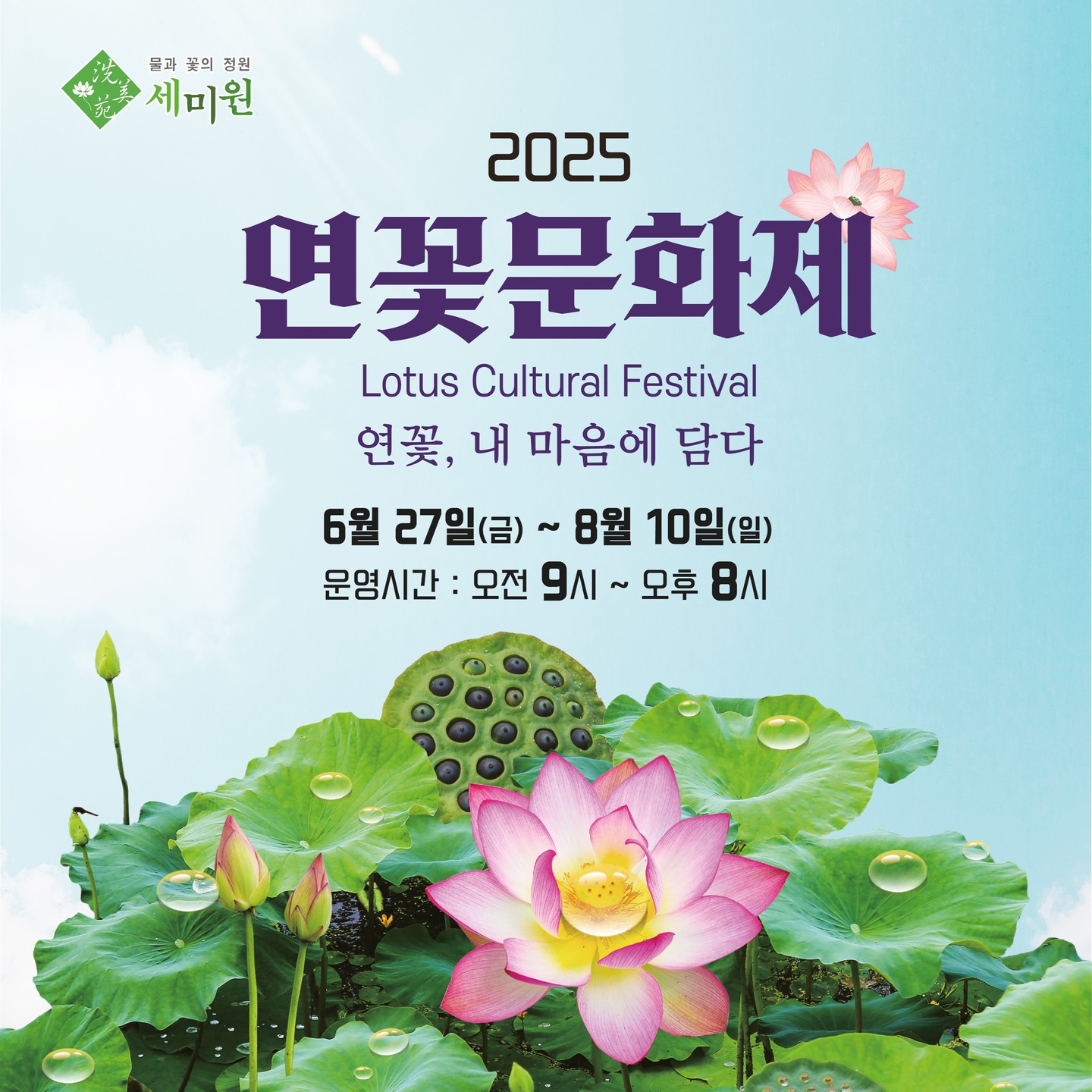 세미원 연꽃축제와 양평 가볼만한 곳 추천