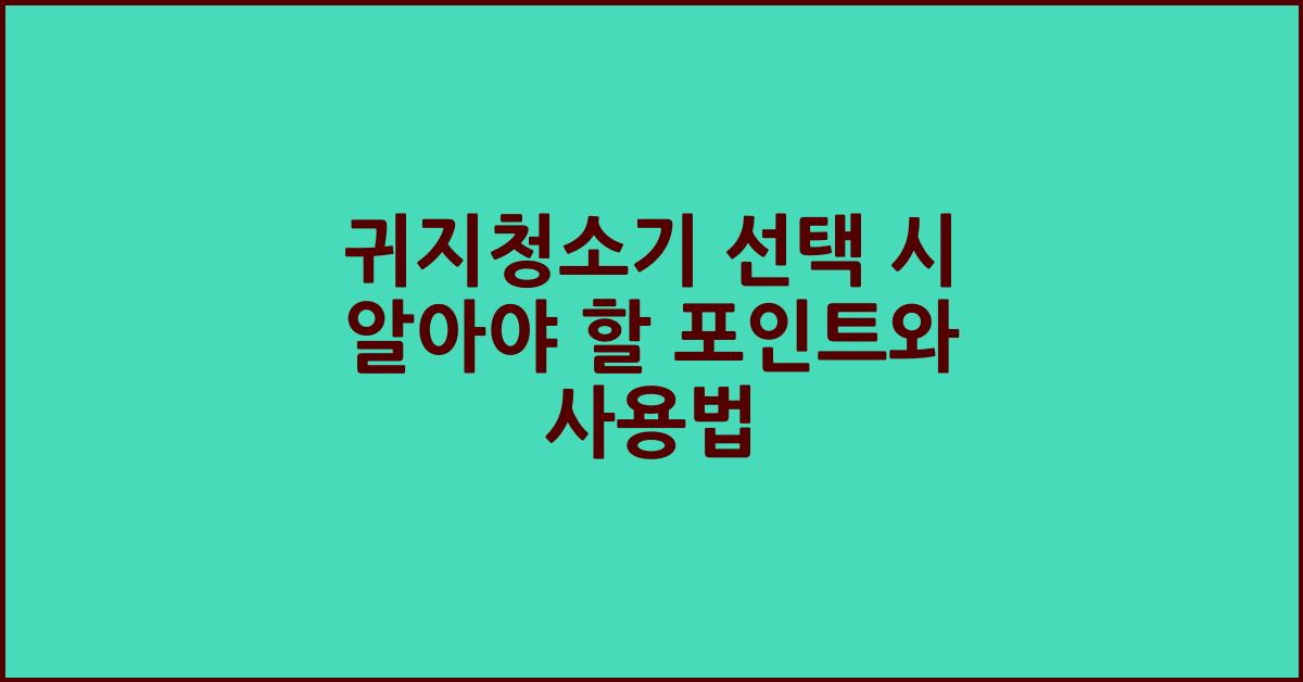귀지청소기