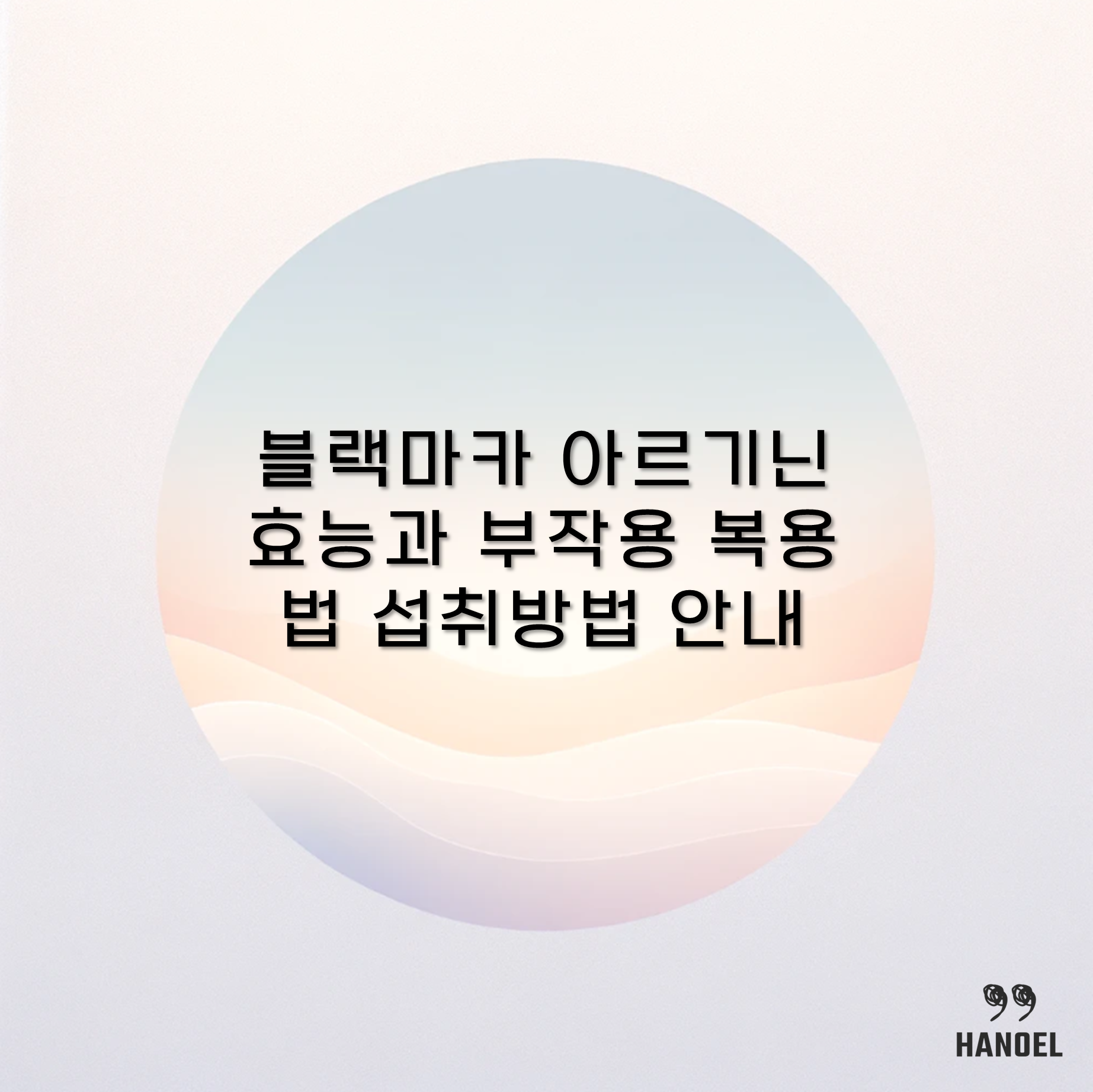 블랙마카 아르기닌 효능과 부작용 복용법 섭취방법 안내