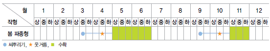 근대 모종 심는 시기&#44; 재배 방법&#44; 키우기&#44; 물주기&#44; 비료 주기&#44; 수확시기