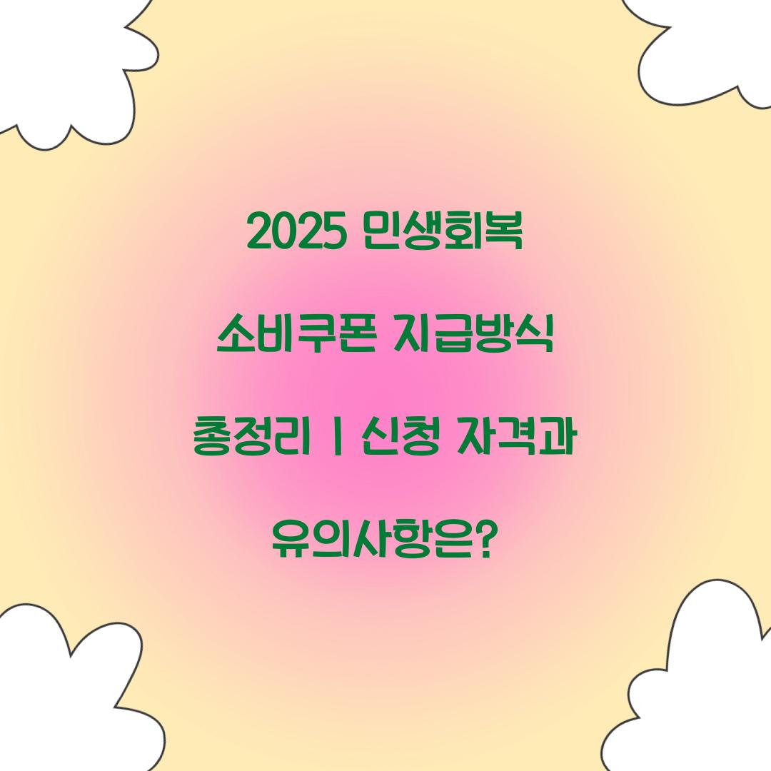 2025 민생회복 소비쿠폰 지급방식