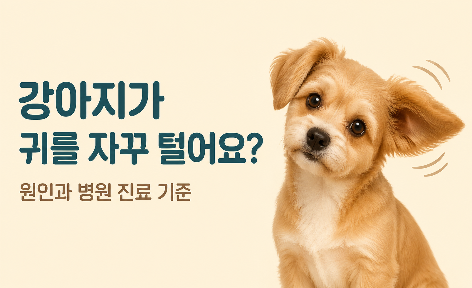 강아지가 귀를 자꾸 터는 원인과 병원 진료 기준을 소개하는 대표 이미지