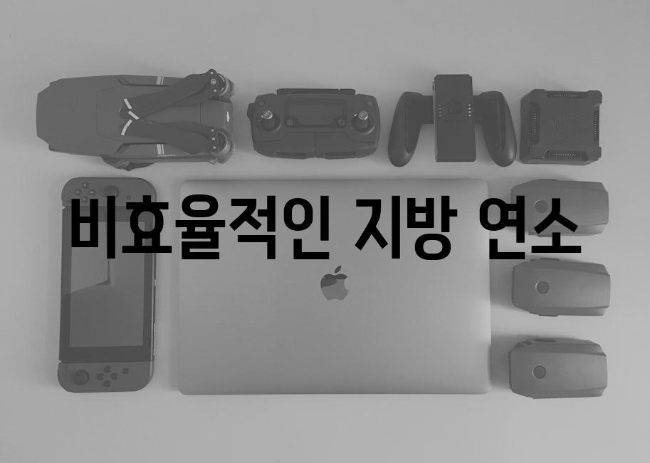 비효율적인 지방 연소