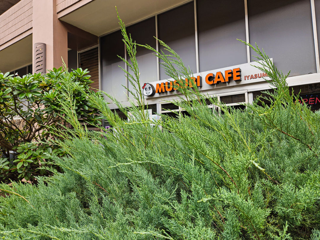 이야스메 무스비 카페
