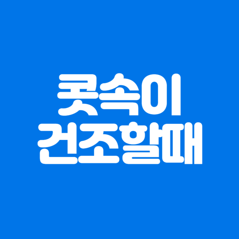 콧속이 건조할때
