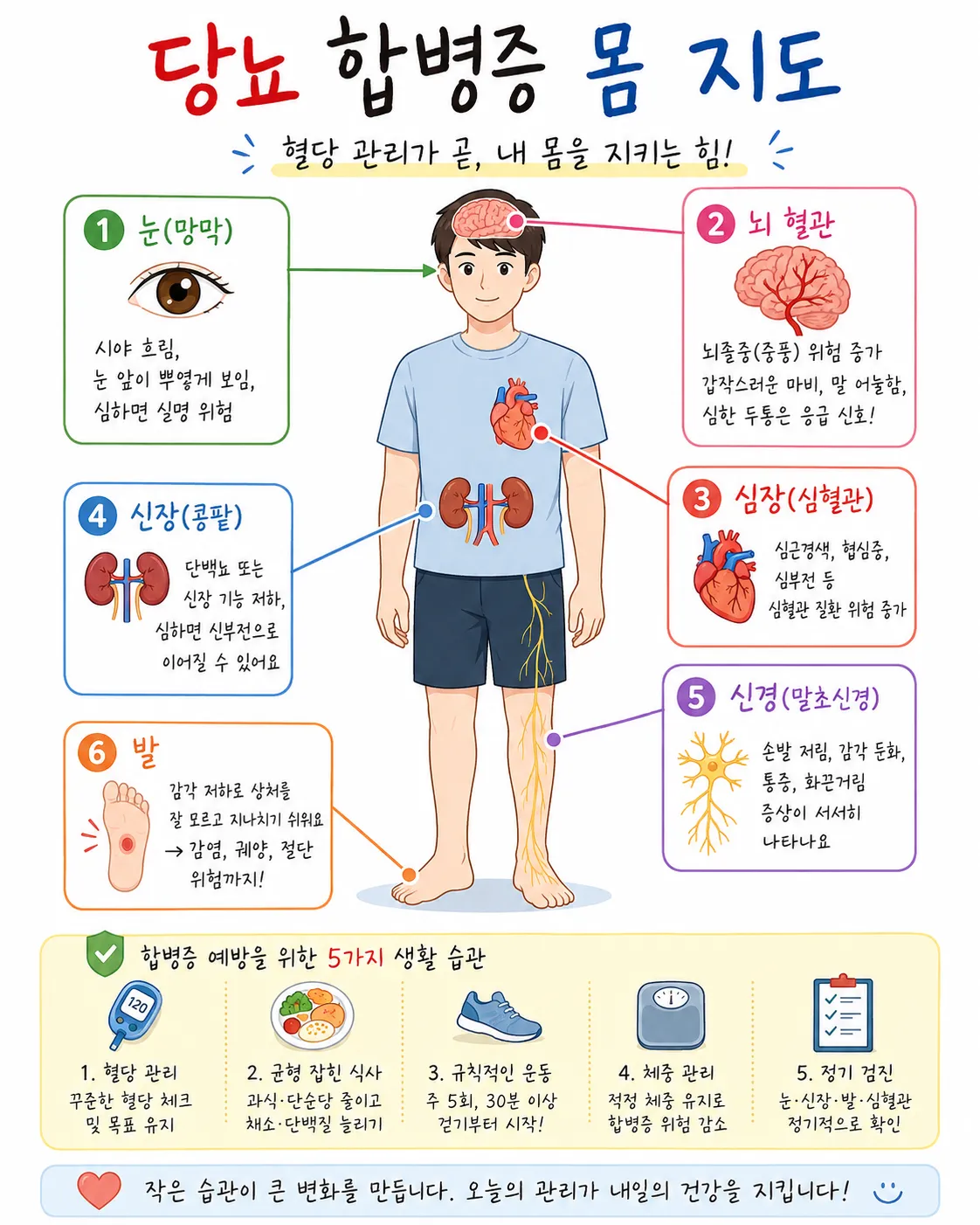 당뇨 합병증 몸 지도