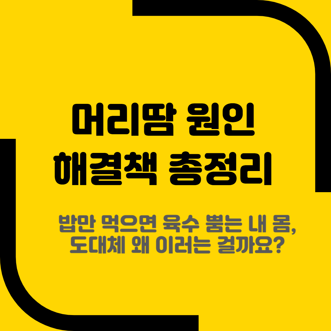 머리땀 원인 해결책 총정리