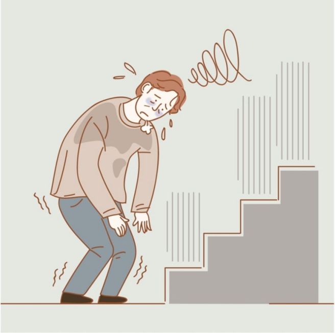 NMN 영양제 추천