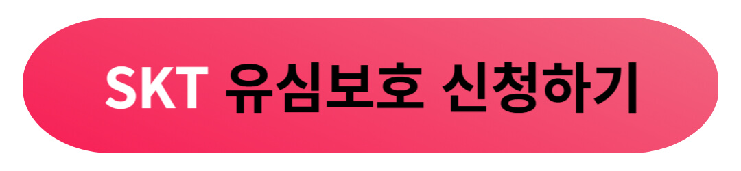 통신사 유심보호서비스 외에 꼭 신청해야 하는 명의도용방지 방법 및 주의할 점