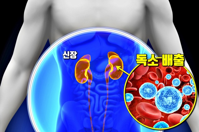 아침 물한잔 효능 효과,독소 배출 방법,혈액순환에 좋은 습관,건강