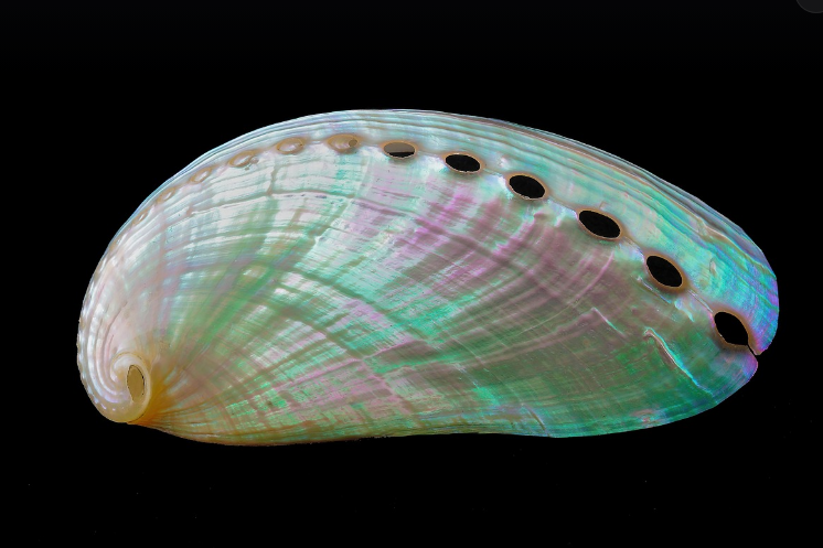 전통 자개 공예: 빛과 색의 예술, 그 속에 담긴 이야기