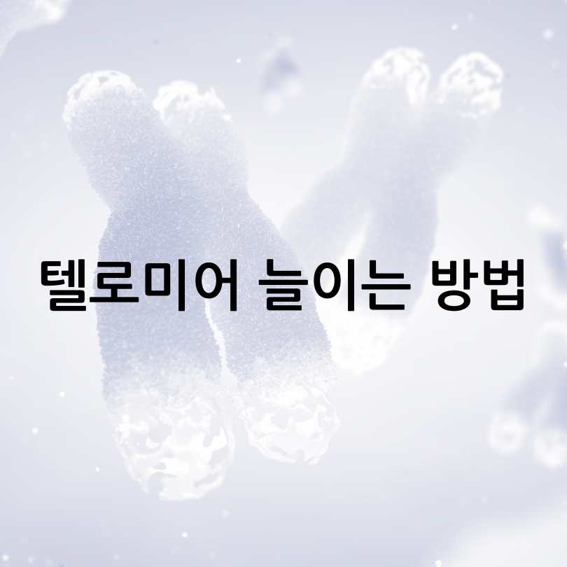 텔로미어늘이는방법