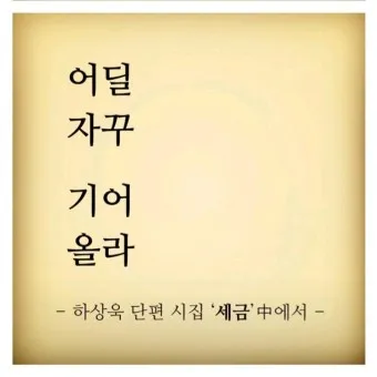 웃긴 시 모음 웃긴 글 웃긴 이야기 100선_6